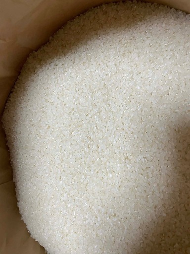 R7年産 新米 きぬひかり 玄米 30kg  ? 