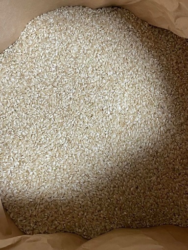 R7年産 新米 きぬひかり 玄米 30kg  ? 