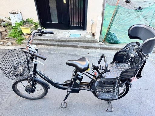 PELTECH(ペルテック) 電動アシスト自転車 20インチ内装3段 TDN-207L