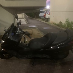 フォルツァの画像