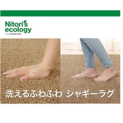 ニトリ　ラグ　185×185センチの画像