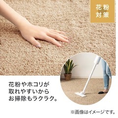 ニトリ　ラグ　185×185センチの画像