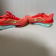 NIKEズームフライ6の画像