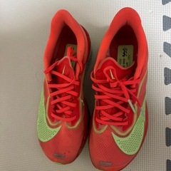 NIKEズームフライ6の画像