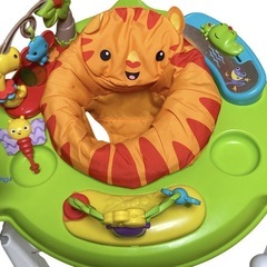 Fisherpriceレインフォレストジャンパルー2の画像