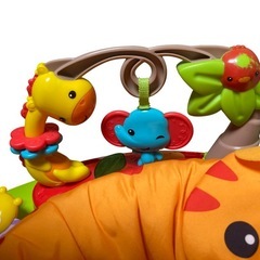 Fisherpriceレインフォレストジャンパルー2の画像