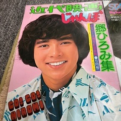 郷ひろみ、写真集？の画像