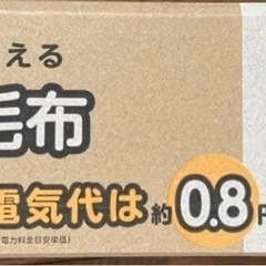 電気毛布　電気敷き毛布の画像