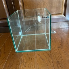 テトラ　水槽2種の画像