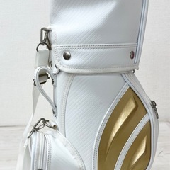 M【未使用品】AYODHYA ゴルフバッグ型 キャディーバッグ型 小物入れ ミニバッグ インテリア 収納 雑貨 オブジェ ショルダー付きの画像