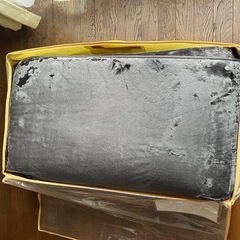 ふんわりラグ（ニトリ製）の画像