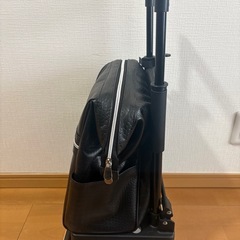 【美品】島製作所 メロディ クロコダイル柄 ショッピングカート（シルバーカー）の画像