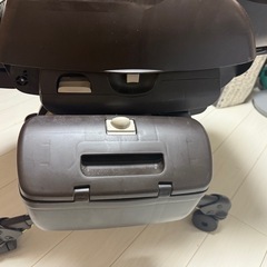 ネムリラの画像