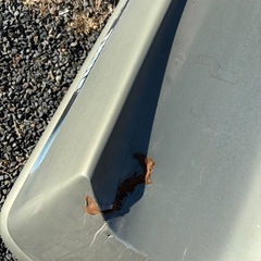 THULE alpina ルーフボックスの画像