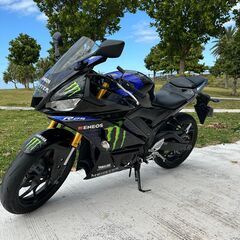 【ヤマハ YZF-R25 ABS Monster Energy Yamaha MotoGP Edition】の画像