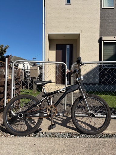BMX   DNA
