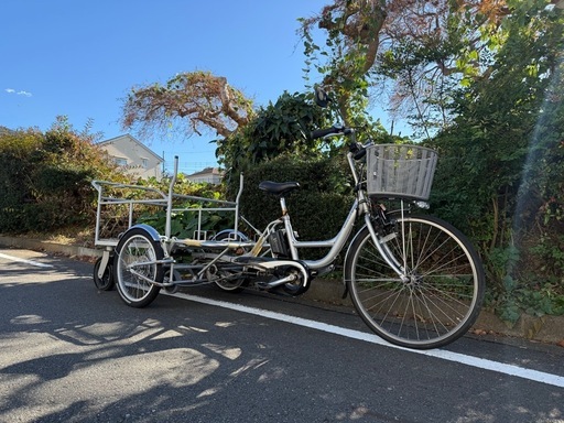 電動アシスト三輪自転車　宅配配達業務用　パスギアカーゴ　希少特注車