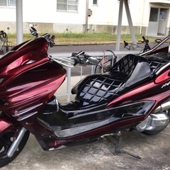 マジェスティ250の画像