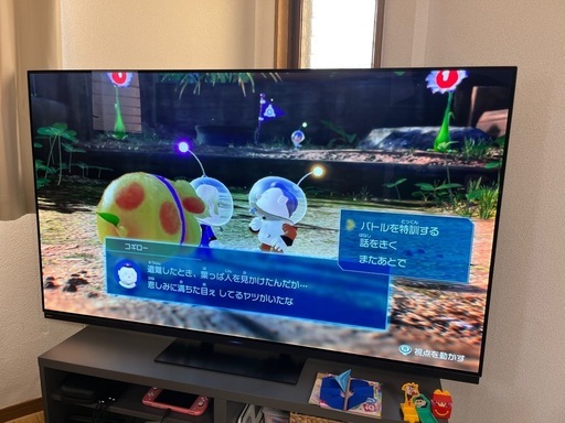 フナイ　有機ELテレビ　65インチ