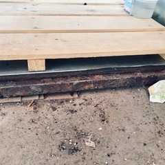 ライスエース！の画像