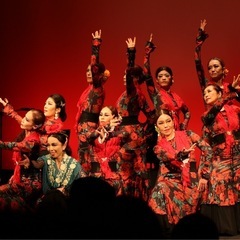 AiRe(アイレ)フラメンコ スタジオ 朝と昼と夜の生徒募集の画像