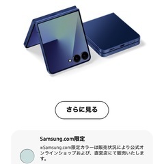 Galaxy Z Flip7 本体の画像