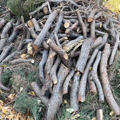 焚き付け用、薪ストーブ用の画像