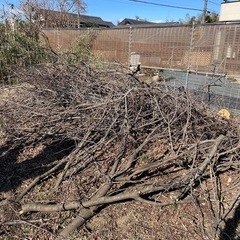 焚き付け用、薪ストーブ用の画像