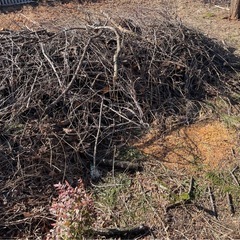 焚き付け用、薪ストーブ用の画像