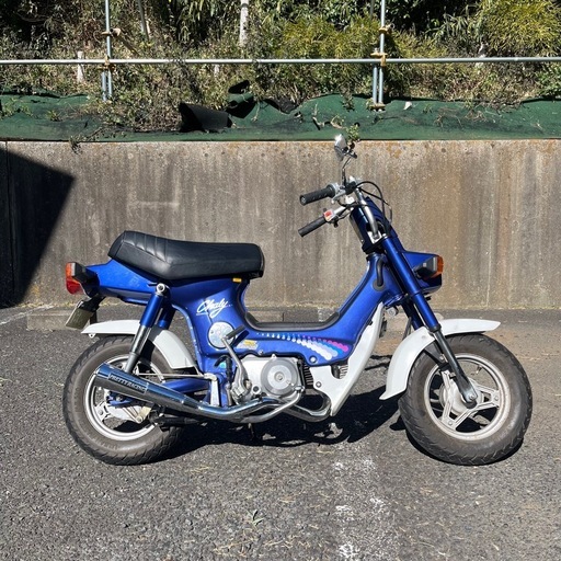 シャリー50 角目　実働　