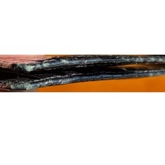 クロコダイル　マネークリップの画像