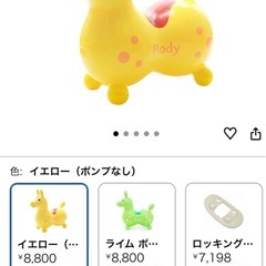 大人も大丈夫👌　ロディ
の画像