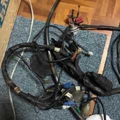 シグナスの画像