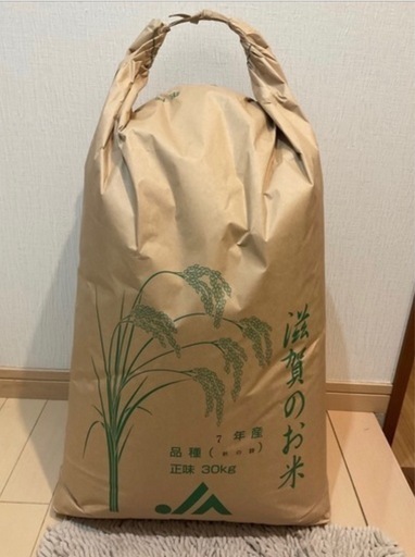 令和7年度産　新米 秋の詩　玄米30キロ　1等米級　減農薬　　 有機肥料　　　②