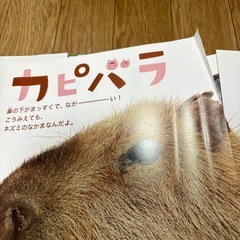 【図鑑】ほんとのおおきさ動物園の画像