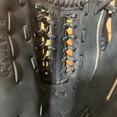 ゼットグローブの画像