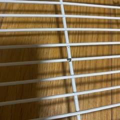 モモンガハウスの画像