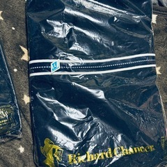 ジャージ　上下　サイズＬの画像