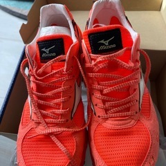 ⭐︎中古⭐︎MIZUNO　シューズ ⭐︎の画像