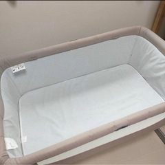 ベビーペットの画像