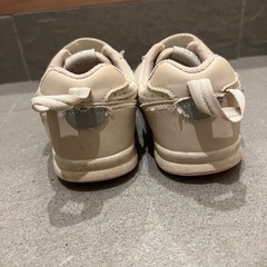 IFME 17.5cmの画像