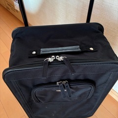 小型布製キャリーバックの画像