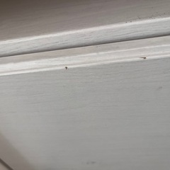 ホワイトテレビボード　2月中までの画像