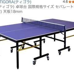 TIGORA(ティゴラ) 卓球台 国際規格サイズ セパレート式(移動キャスター付) 天板18mm ほとんど未使用の画像