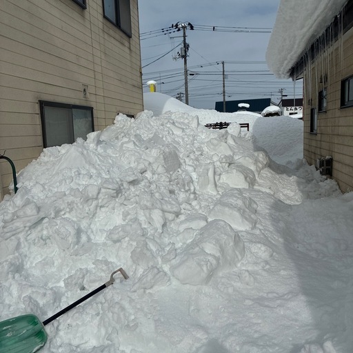 雪かき