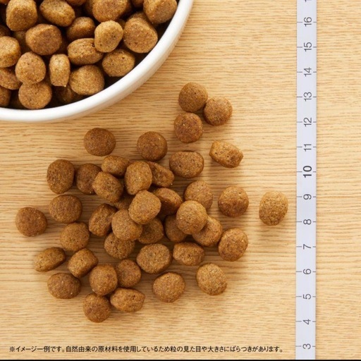 ニュートロ ナチュラルチョイス プロテインシリーズ 中型犬〜大型犬用 成犬用 ラム＆玄米 [13.5kg] 正規品
