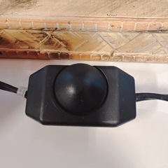 ① エレファント　ライトの画像