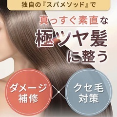 新品未使用、有名ブランド商品、ボンパルムの画像