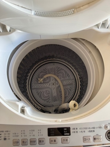 Sharp 2023年製 7kg 洗濯機 単身用