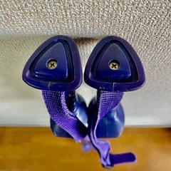 HART GIGAS スキー用ストックの画像